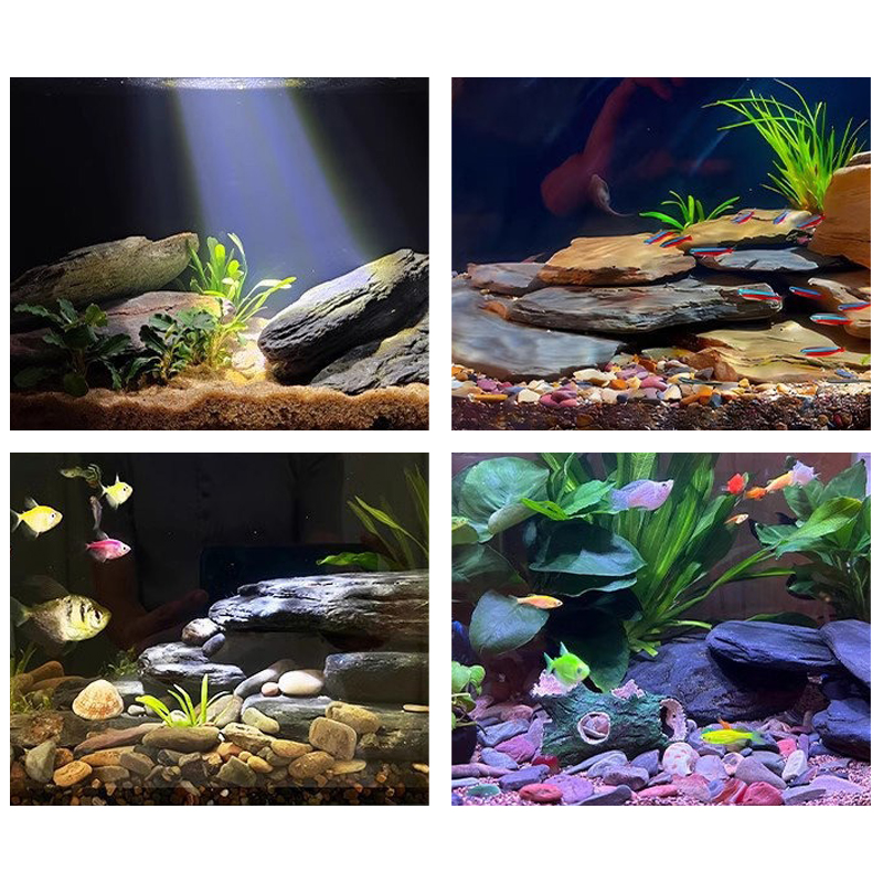 Kit de piedras para paisajismo - Marine Fish Tank reseña y precio