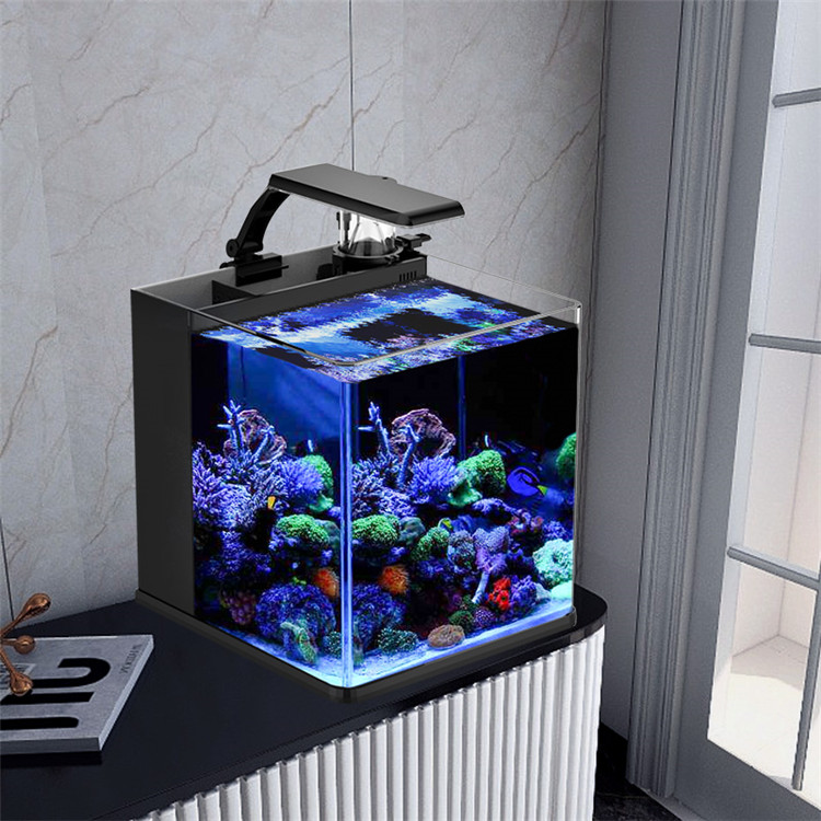 Skynuo Ultra Clear Glass Mini  - Marine Aquarium Cube reseña y precio