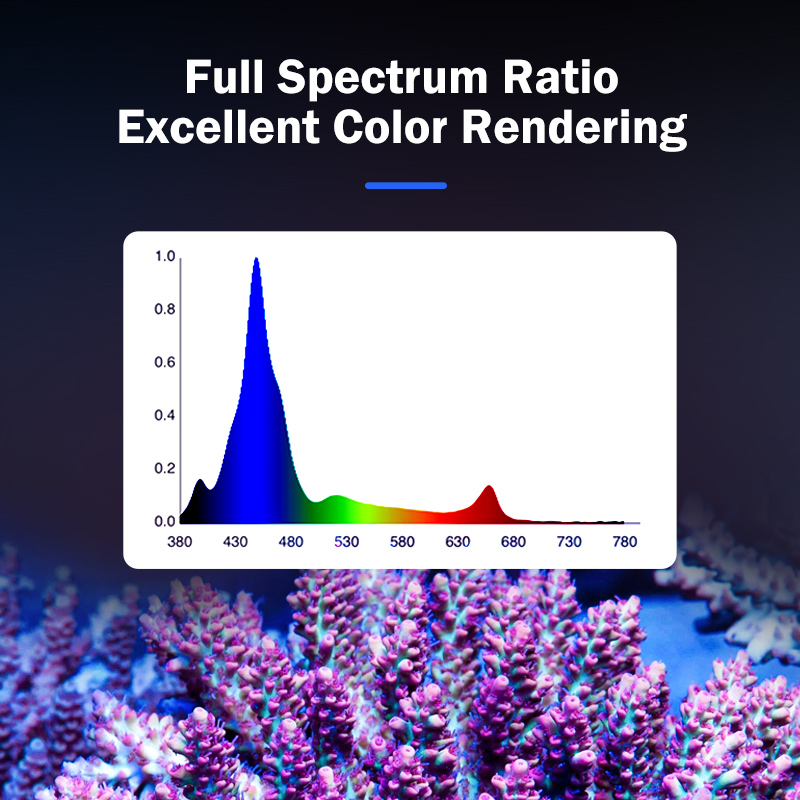 T169 Cobertura total 169W Pane - Reef Lighting reseña y precio