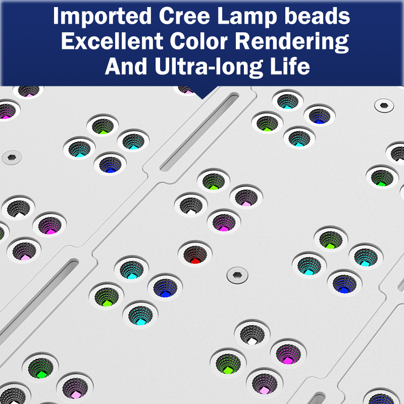 T169 Cobertura total 169W Pane - Reef Lighting reseña y precio