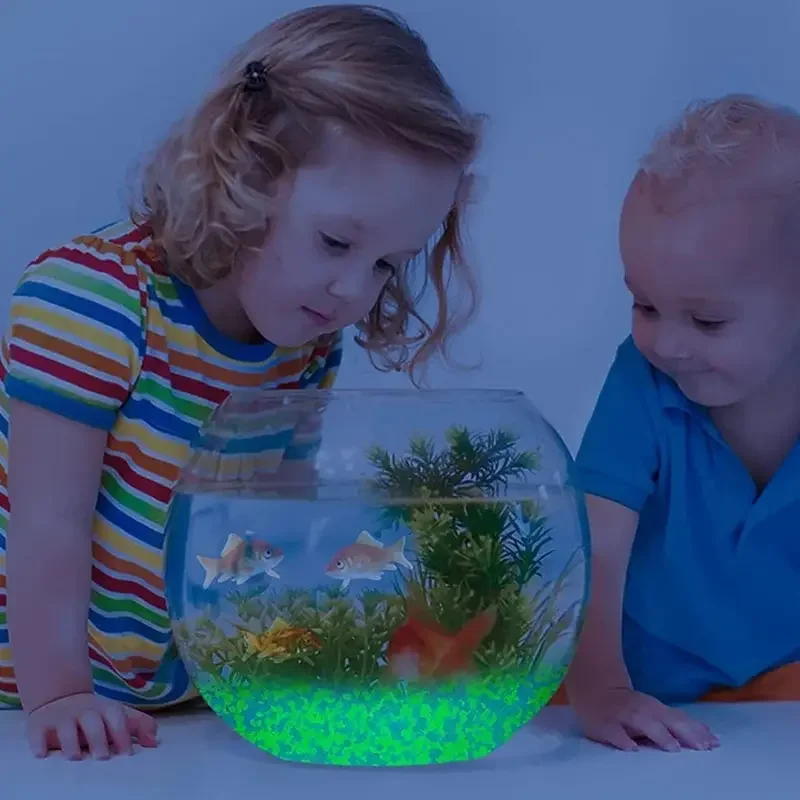 1000 Uds. De arena luminosa de - Marine Fish Tank reseña y precio