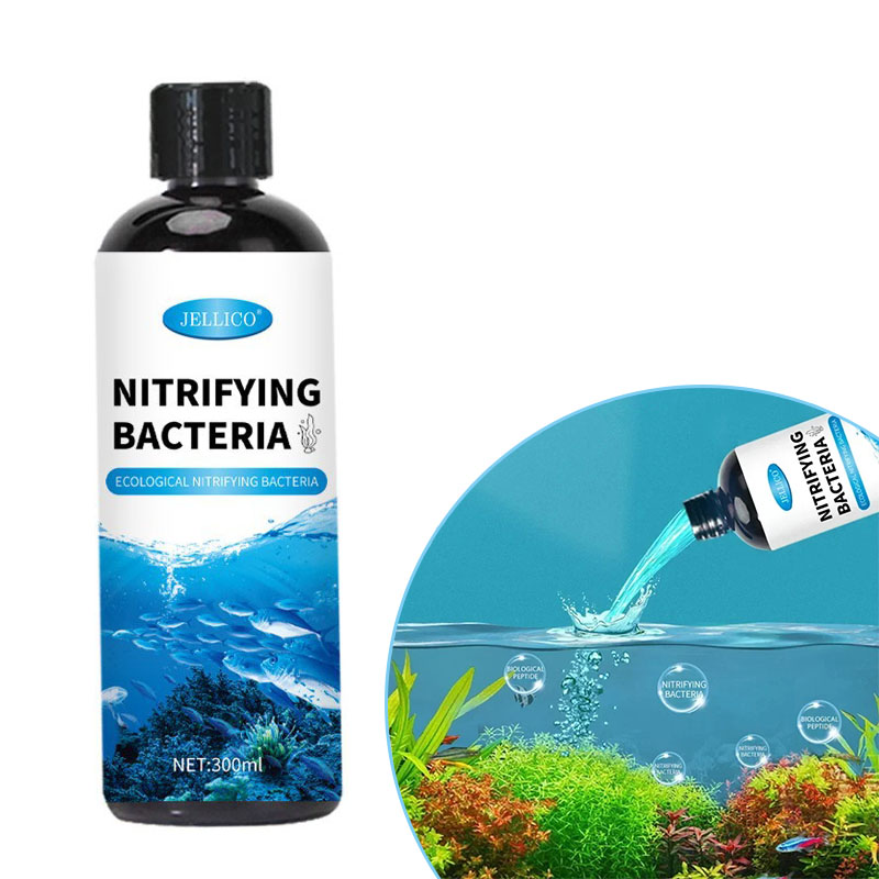 Purificador de agua para pecer - Ocean Aquarium reseña y precio
