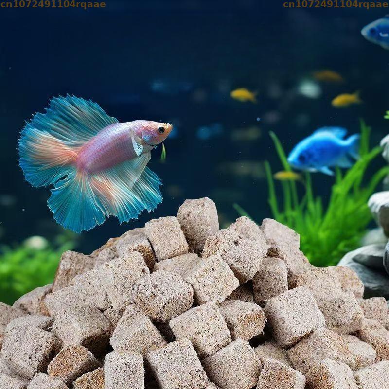 Cubos de lombrices de sangre l - Marine Aquarium Cube reseña y precio