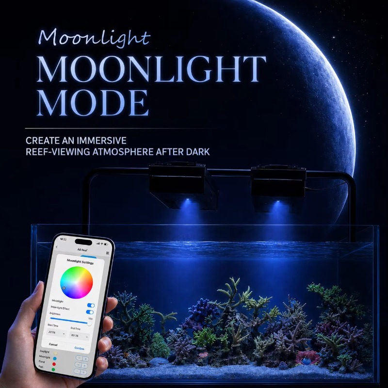 Lámpara LED para acuarios mari - Reef Aquarium reseña y precio