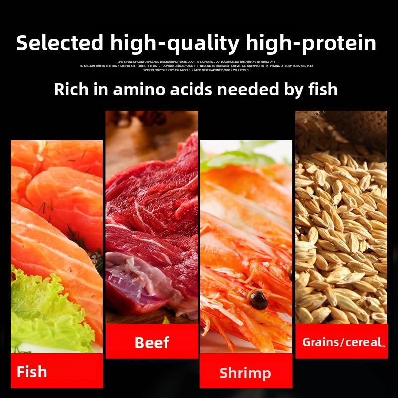 Alimento para Peces Ornamental - Reef Tank Filter reseña y precio
