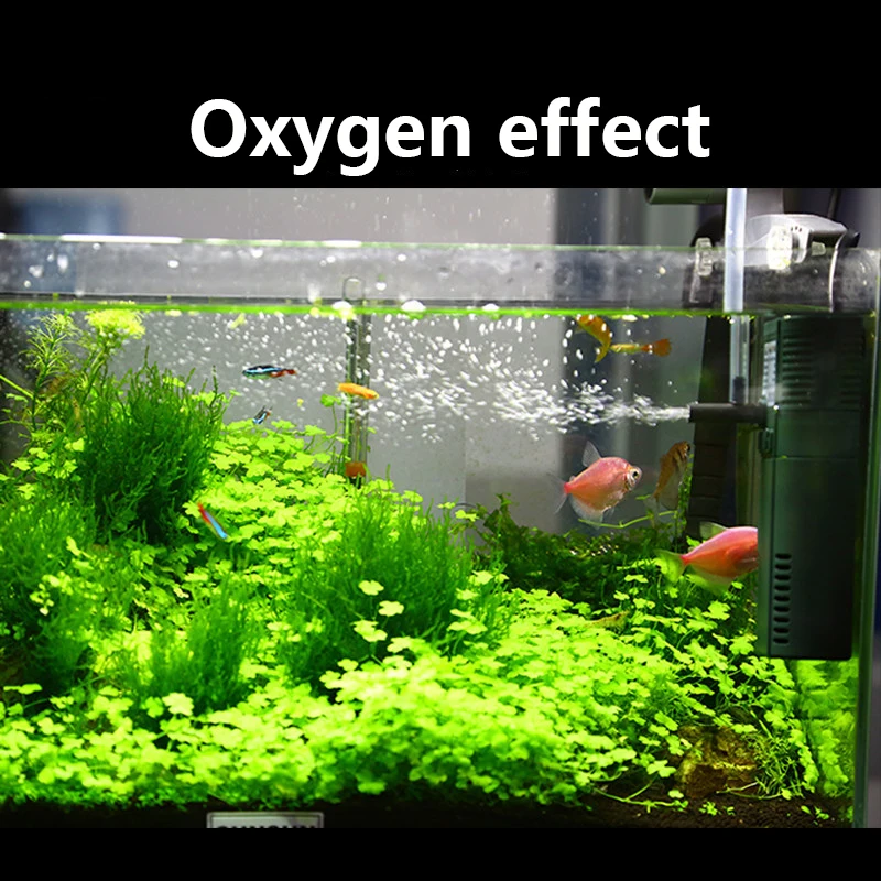 SUNSUN Mini Nano 111B 311B 611 - Reef Tank Filter reseña y precio